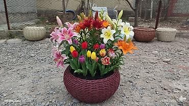 емкость бочки: Плетёные кашпо для цветов - Материал: искусственный ротанг/пластик — 1