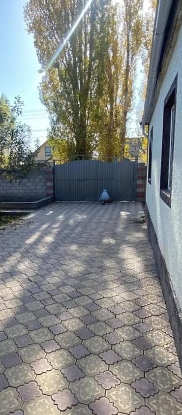 Үйдү ижарага алам: 60 м², 3 бөлмө, Забор, тосулган — 1