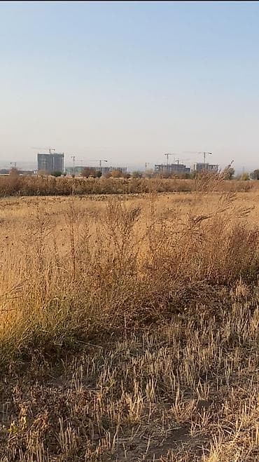 jalalabad: 155 соток, Для сельского хозяйства, Договор купли-продажи — 5