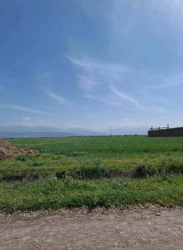 прадаю дом тендик: 324 соток, Для бизнеса — 2