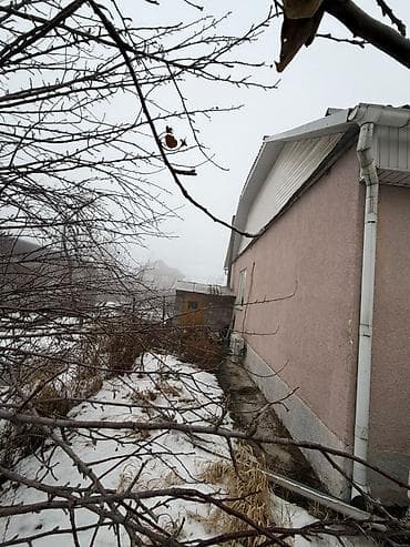 estate: 6 соток, Для строительства, Красная книга, Тех паспорт, Договор купли-продажи — 5