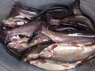 Уход за волосами: Продаю Стиральную машину 8000 Спальный гарнитур 25000 Стенка 8000 — 10