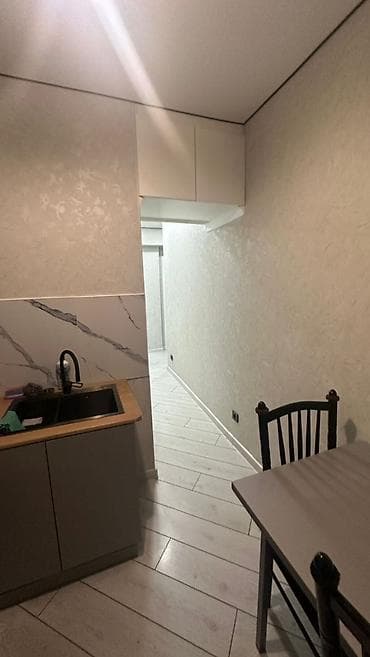 5: 2 комнаты, 55 м², ул. Алматинка / Чуй Индивидуалка, 4 этаж, Евроремонт — 10
