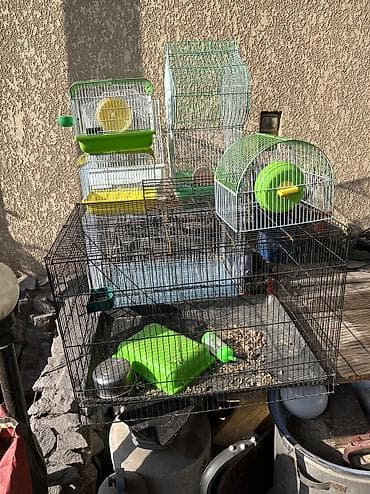 Ветеринар кызматы: Продаю клетки 3 клетки для попугаев 3 маленькие для хомяков и одна — 1