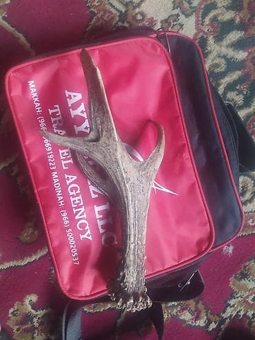 Вазалар: Олений рог с естественной текстурой и разветвленной формой, имеет — 1