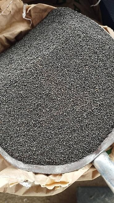 семена маями: Семена кормовых растений: Люцерна, Бесплатная доставка — 3