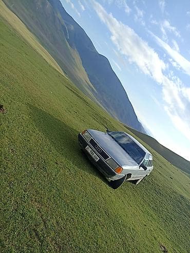 audi c7: Audi 100: 1988 г., Ручные, Седан — 1