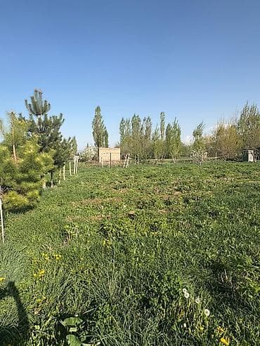 20 соток: 15 соток, Для строительства, Красная книга, Договор купли-продажи — 4