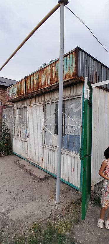 Продаю повилён или меняю на скот — 1