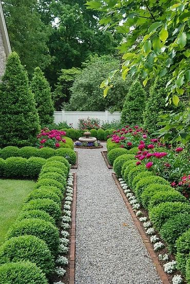 пересадка: Самшит в горшке (Buxus sempervirens) - Компактный вечнозелёный — 2
