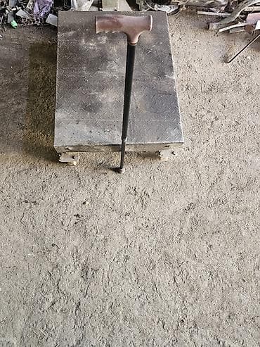 Корректоры осанки: Трость — 2