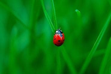 Сиделки: Ищу работу, сиделки — 1