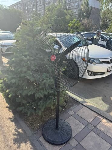 моторчик вытяжки: Вентилятор Boneco, Напольный, Лопастной — 6