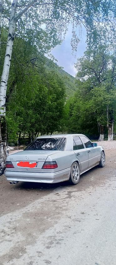 Mercedes-Benz W124: 1991 г., 2.6 л, Механика, Бензин, Седан