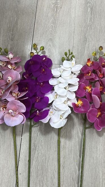 термометр комнатный цена: Гүлдөрдүн королевасы Орхидея гүлүнө заказ алабызүйүңүзгө көрк — 5