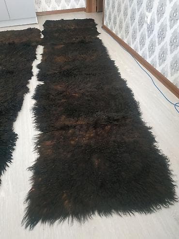 шырдак цены: Килем Колдонулган — 8