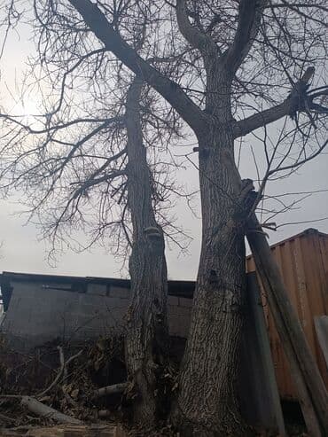 Другие пиломатериалы