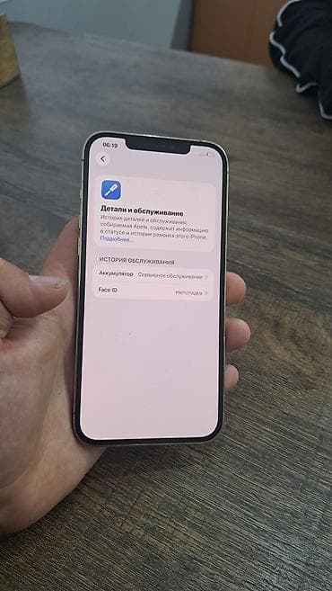 a 12: IPhone 12 Pro Max, 256 ГБ, Серебристый, 77 % — 4