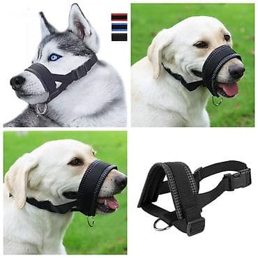 Үй жаныбарлары үчүн товарлар: Продаю игрушку/когтеточку/лежанку 3в1,с кошачей мятой,вашему котику — 9