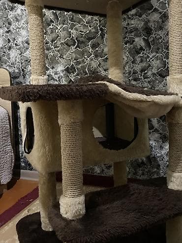 fidget cube: 170 см Игровой комплекс для кошек, многоуровневый - Высокая — 3