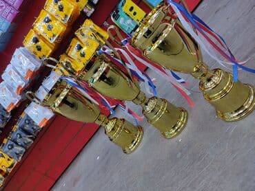 кубки: Кубок Лига Чемпионов!!!
Железный
А.(42см) 
В.(37см) 
С.(32см) — 3