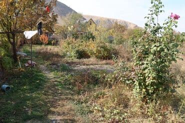 куплю дом в панфиловском районе чалдоваре: Времянка, 1 кв. м, 3 бөлмө, Менчик ээси — 9