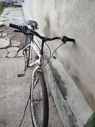 велосипед элек: Шаардык велосипед, Велосипед алкагы M (156 - 178 см) — 1