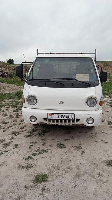 кок талаа: Жеңил жүк ташуучу унаа, Hyundai, Стандарт — 3