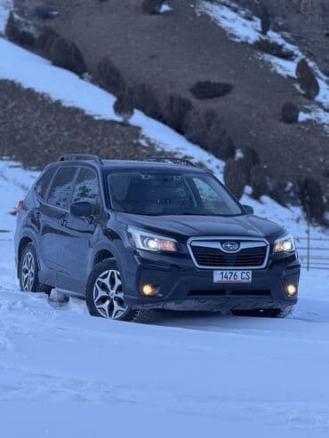 субару легаси 2020: Subaru Forester: 2020 г., 2.5 л, Вариатор, Бензин, Кроссовер — 1