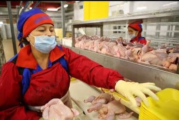 работа в отдел кадров без опыта: Требуется Упаковщик, Оплата: Дважды в месяц, Без опыта — 2