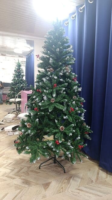 Ковролин: Шырдак Жаңы, 180 * 180, Тоголок — 2