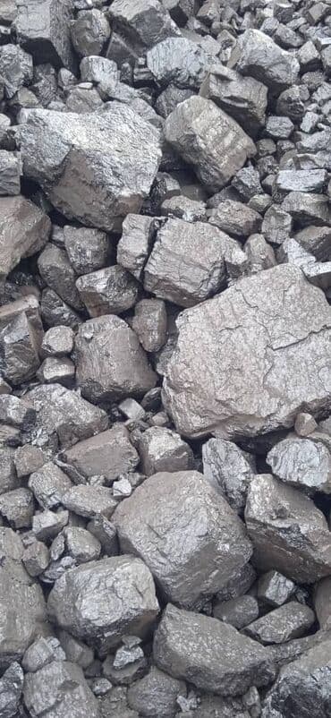 купить сирень в бишкеке: Coal briquettes — 8