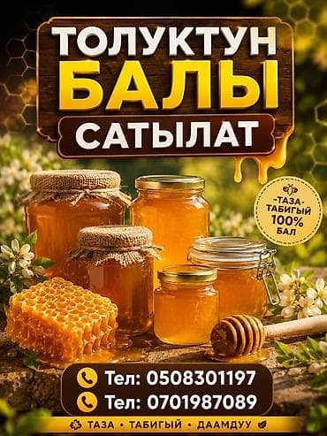 Продукты питания: Натуральный толуктунский мёд - 100% чистый, без добавок - Ароматный — 1