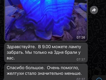 Кычкылтек концентратору: Аренда фотолампы от желтушки для новорожденных. 💛 Почему выбирают — 5