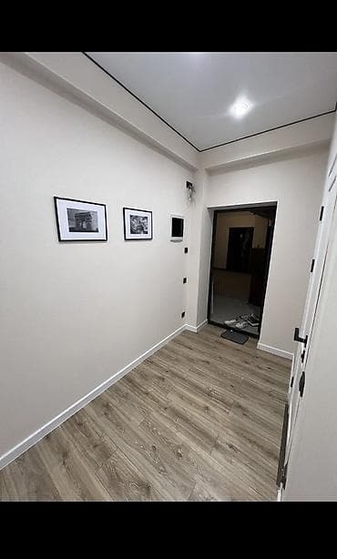 central park: 2 комнаты, 48 м², Элитка, Евроремонт — 5