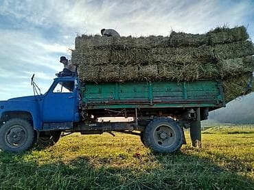 мтз 82 1 кун: Грузовой самосвал газ 53 для сельхозработ - Классический бортовой — 5