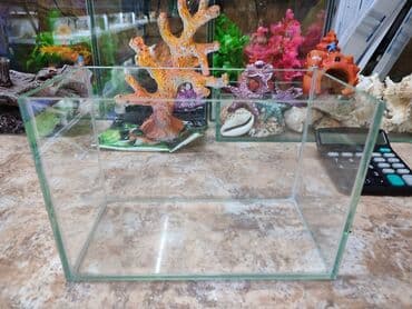 аквариумный: Аквариум новый объём 5 л. Есть и другие объёмы аквариумов, а также — 1