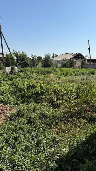 31 соток, Для бизнеса, Красная книга, Тех паспорт