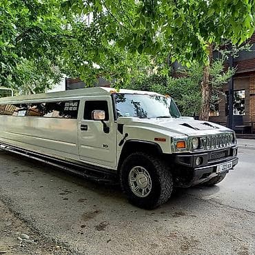 sprinter tdi: Сдаю Mercedes-Benz Maybach для кортежа, С водителем, Седан — 2