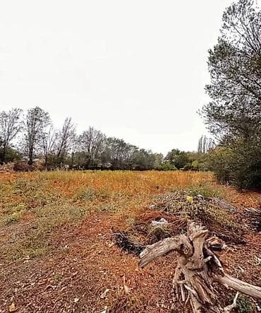 22 соток, Красная книга