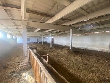 Үйдү ижарага алам: Үй, 80 кв. м, 3 бөлмө, Менчик ээси, Косметикалык оңдоо — 7