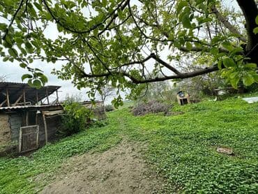 куплю дом в городе балыкчы показать: Дом, 2500 м², 6 комнат, Собственник — 5