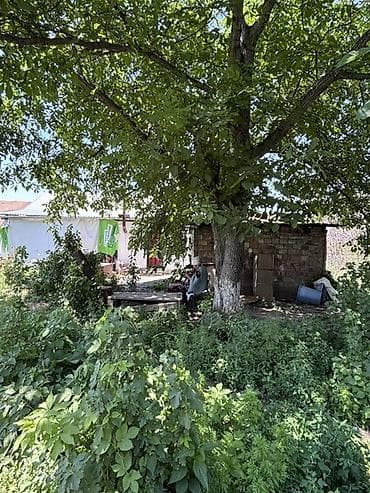 13 соток, Курулуш, Техпаспорт, Сатып алуу-сатуу келишими — 8