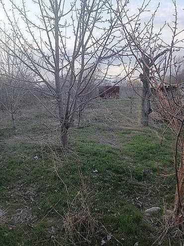 арена футбольное поле: 7 соток — 3