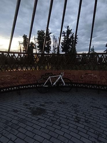 Фикс-байк (single speed) с шоссейной геометрией - Рама: стальная — 3
