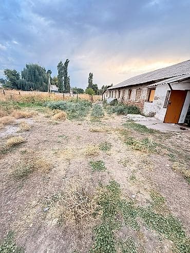 село интернационал: 500 соток — 1