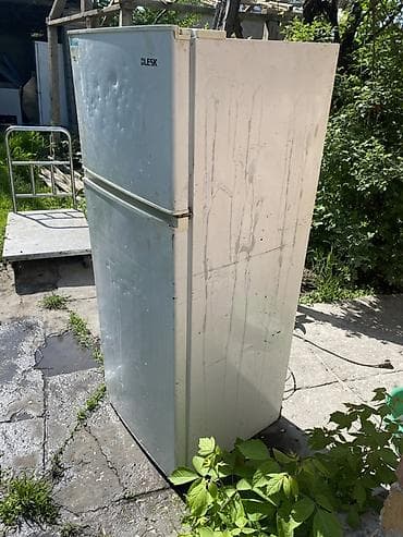 холодильник blesk: Холодильник Blesk, Двухкамерный — 5