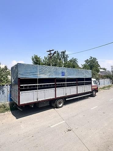 тд 2 9: Грузовик, Mercedes-Benz, Стандарт — 3