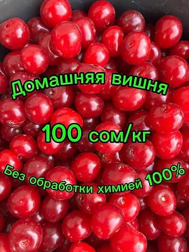 Вишня Самовывоз, Платная доставка