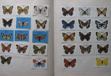 продаю медали: Продаю коллекцию спичечных этикеток,примерно 2000 штук. Два больших — 8